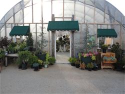 Greenhouse at Green Gallery