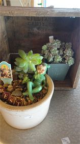 Succulents : We love to re-purpose pots and make unusual objects into succulent planters. Succulents