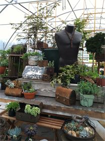 Unusual Greenhouse Displays : Green Gallery 2014 Unusual Greenhouse Displays