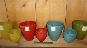 6 ane 3 inch pots