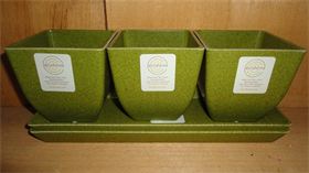 Small Eco Set : Great for Herbs or Succulents Small Eco Set